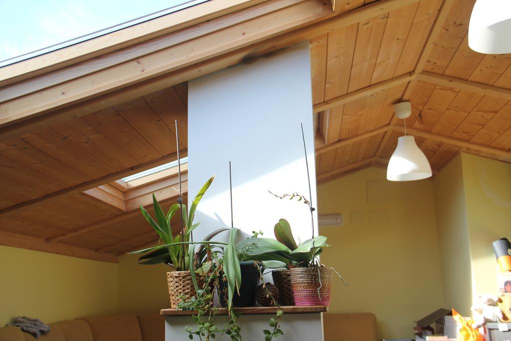 Hostel Curavacas Triollo المظهر الخارجي الصورة